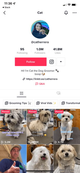 未经证实的TikTok用户Cat the Dog Groomer (@catherrera)有100万粉丝